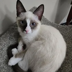 Frankie