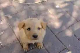 Babie- PROD TEST- Not for adoption