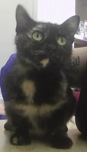 Tiana
