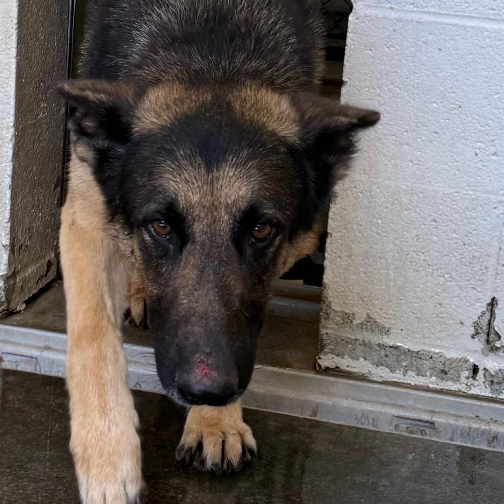 Max