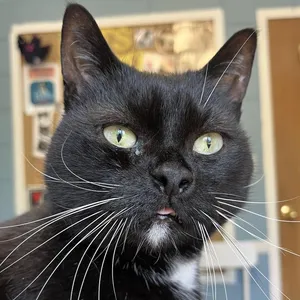 Jack