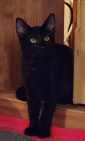 Arthur
