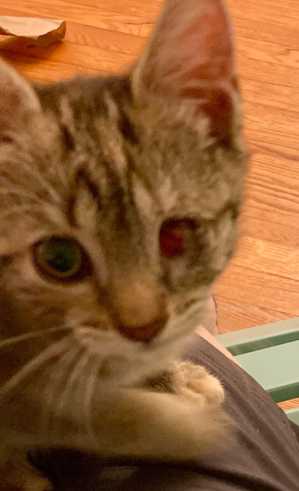 Penny