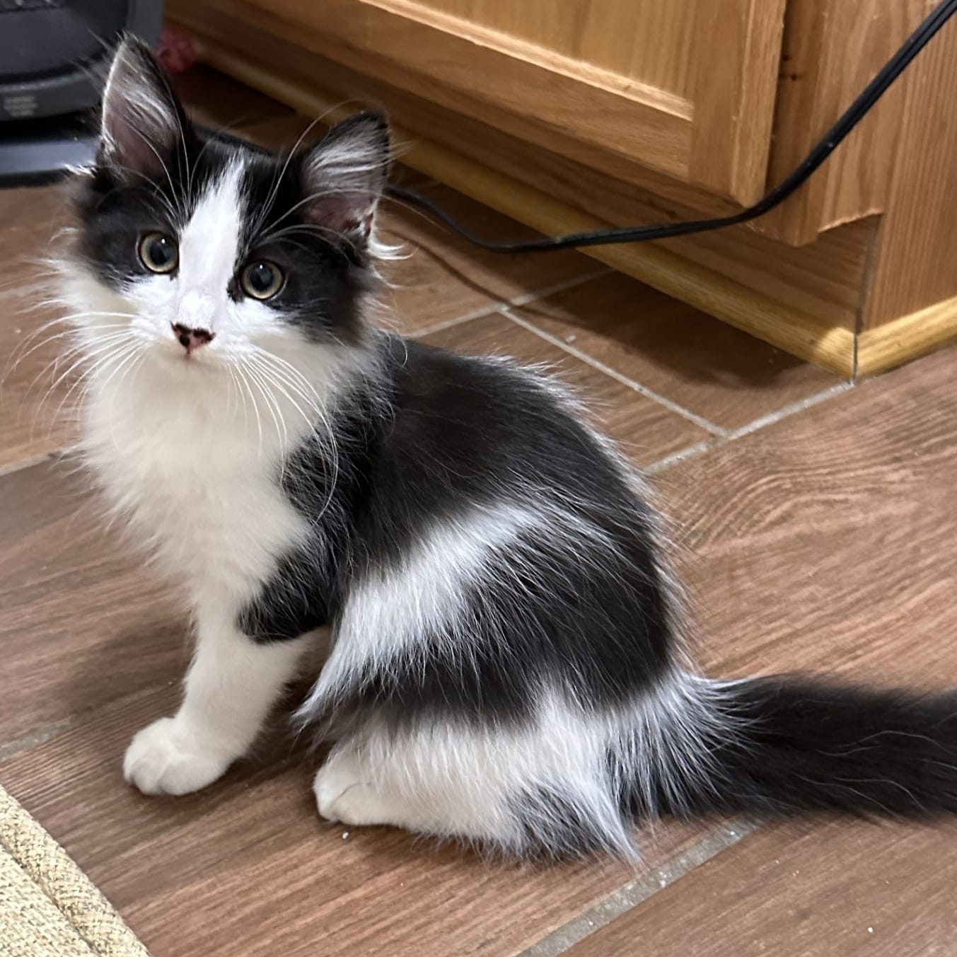 Chloe