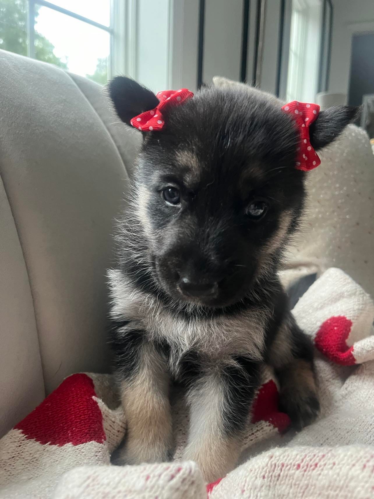NALA