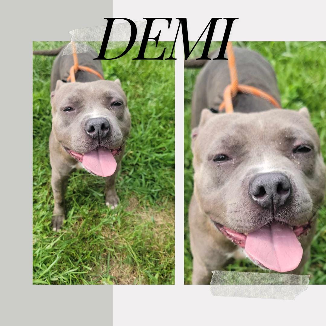 Demi