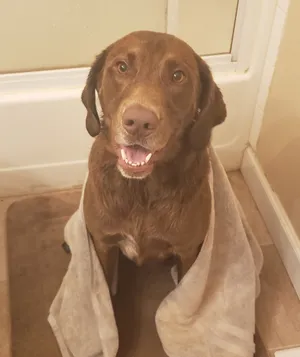 Oakley