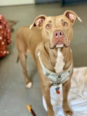 Fiona