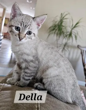 Della
