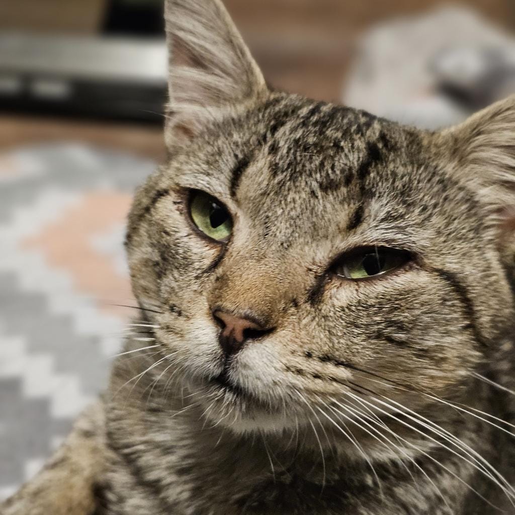 Kiki