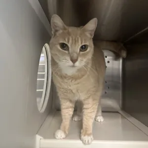 Fiona