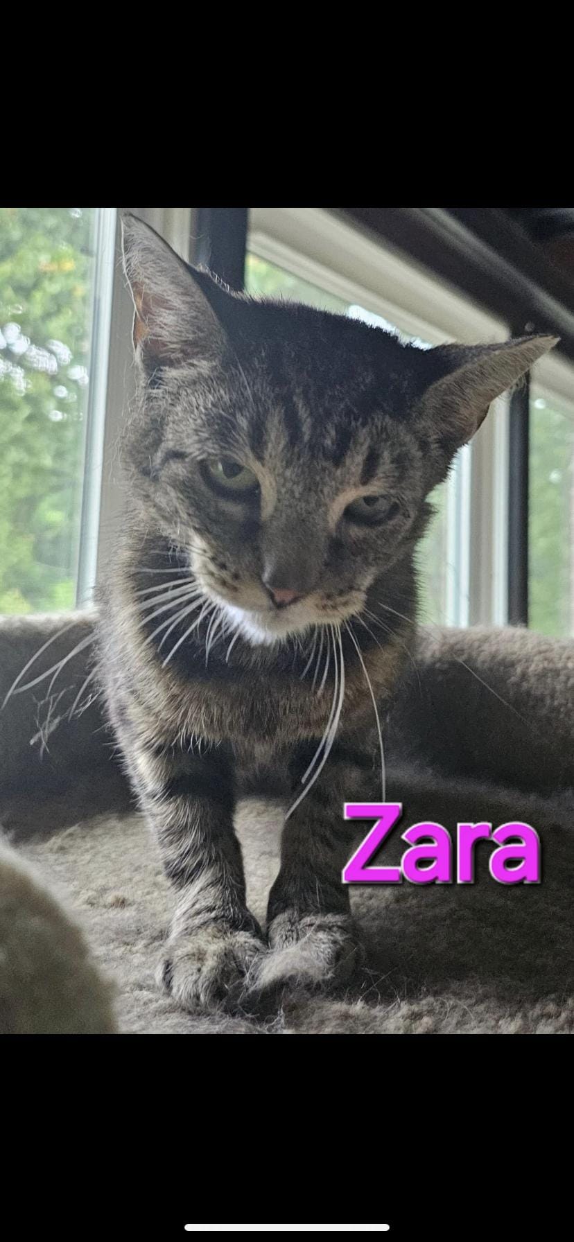 Zara