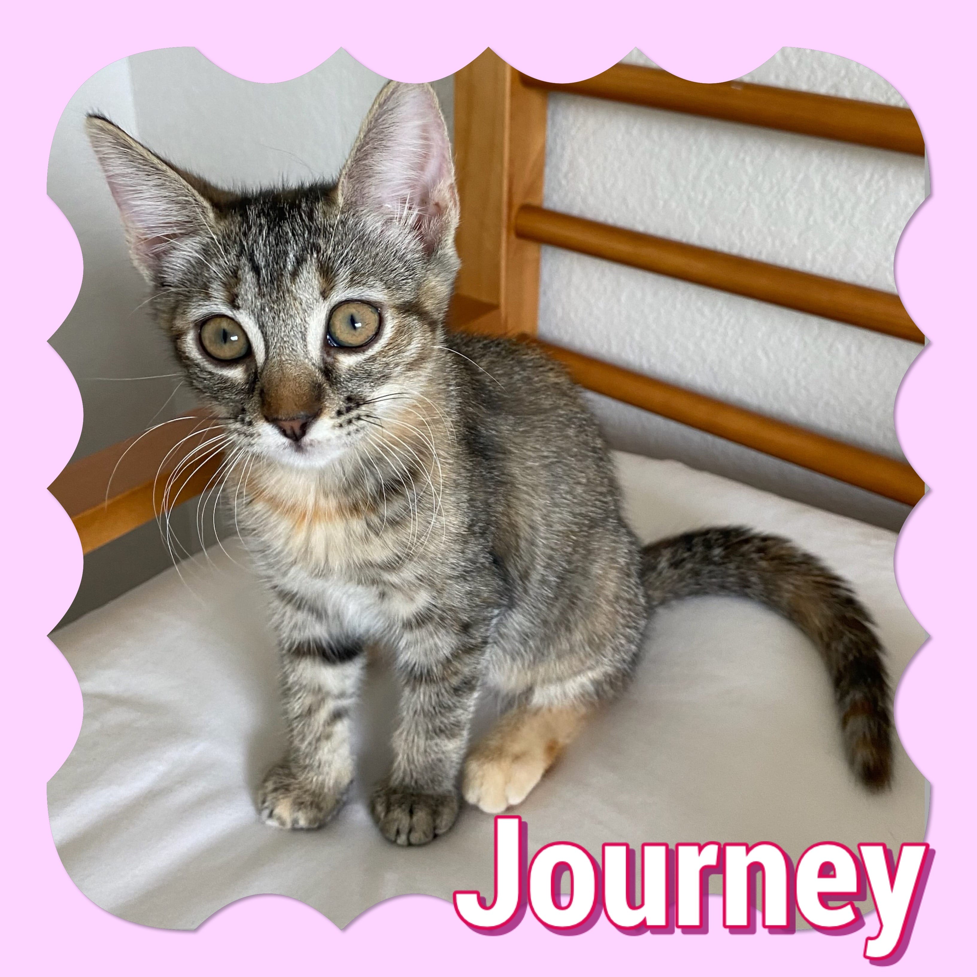 Journey