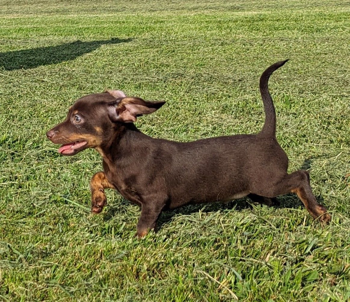 Lenny