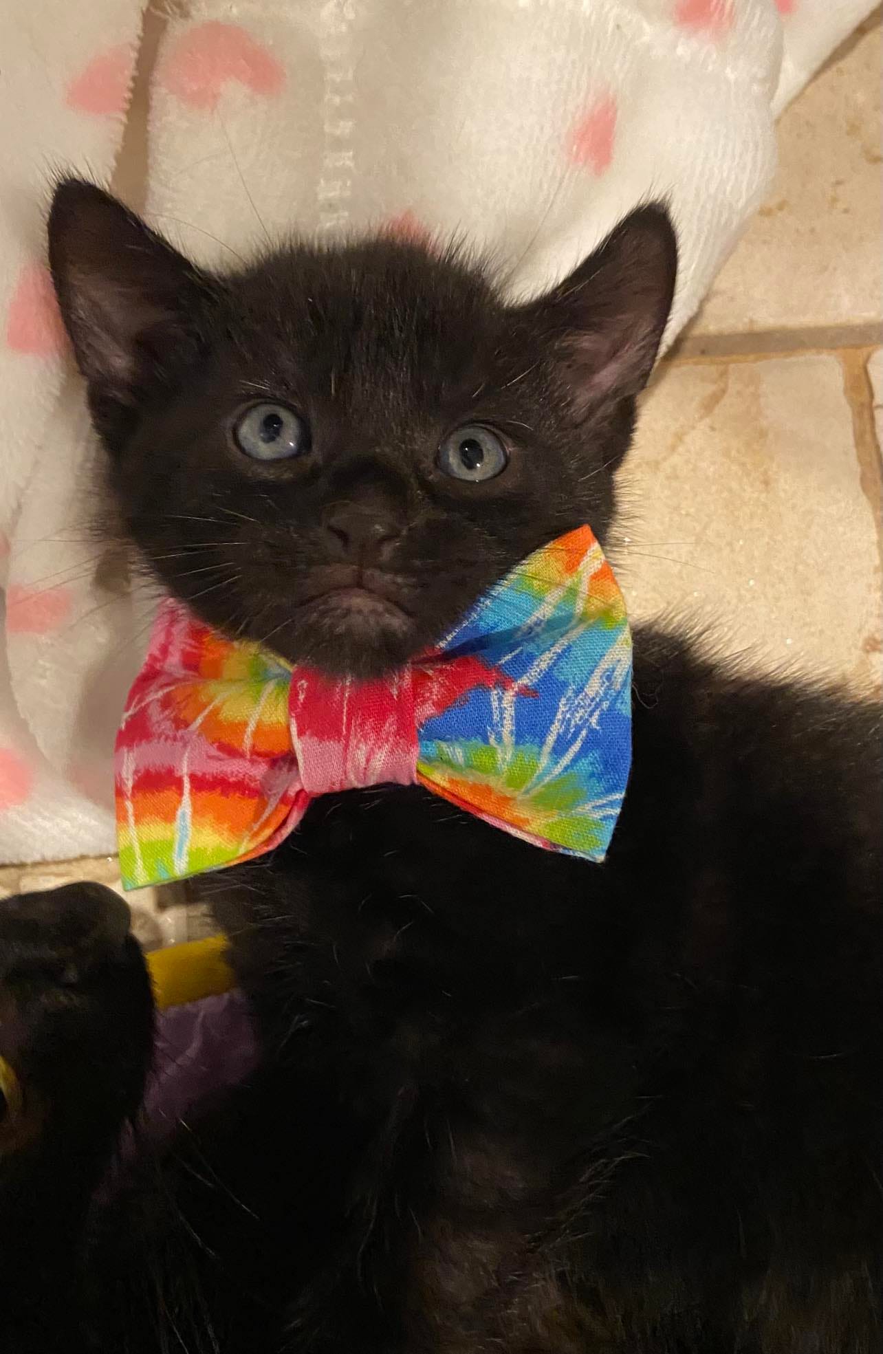 Salem