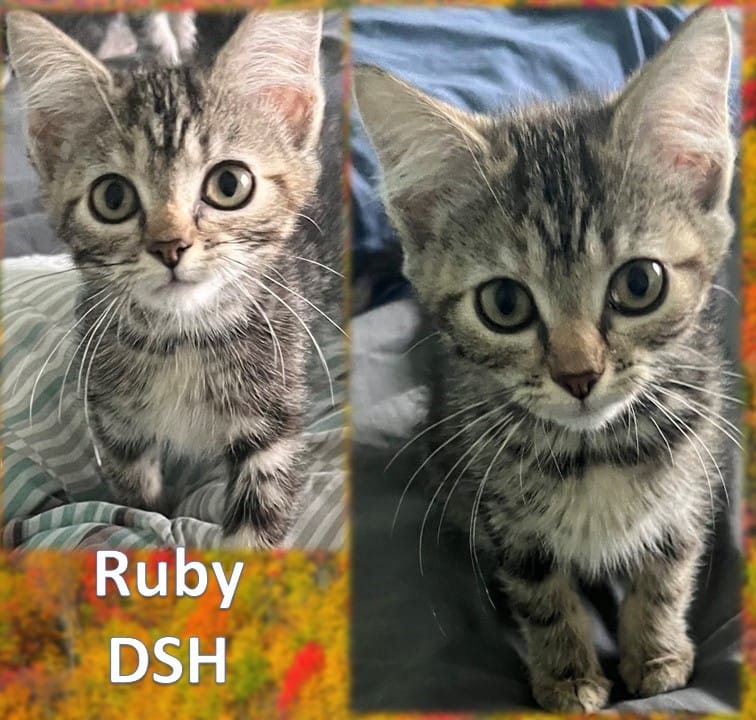 Ruby