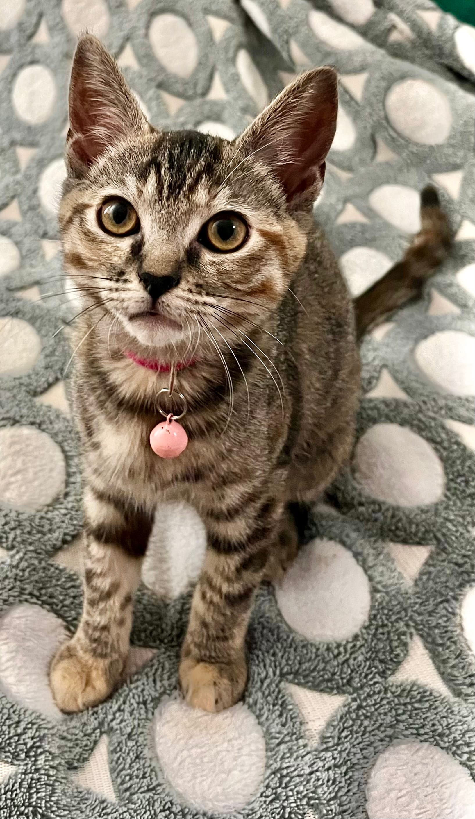 Lily