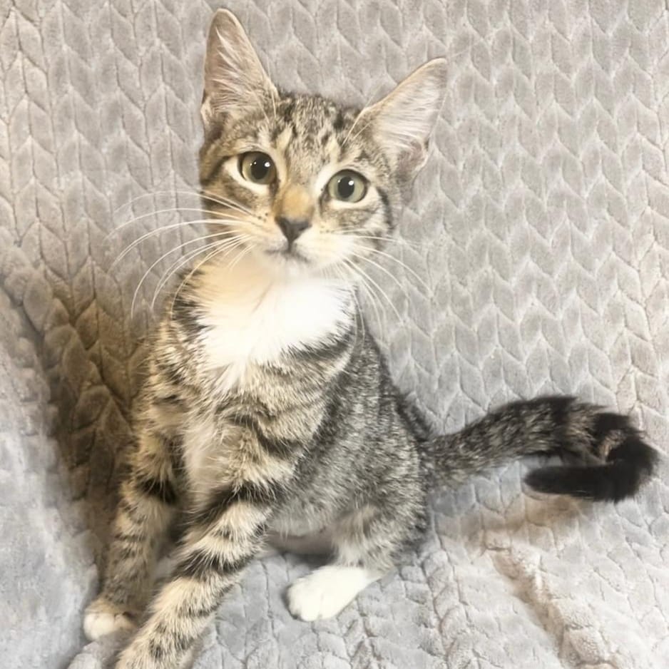 Zoe