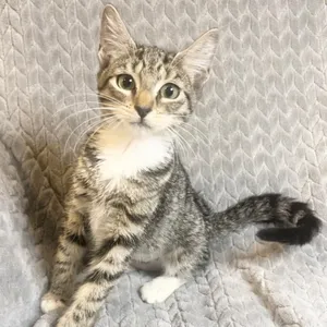 Zoe