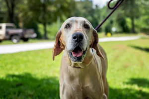 Sam