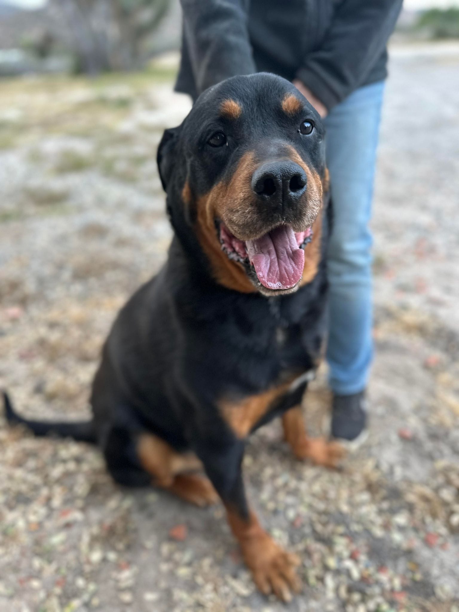 Morgan