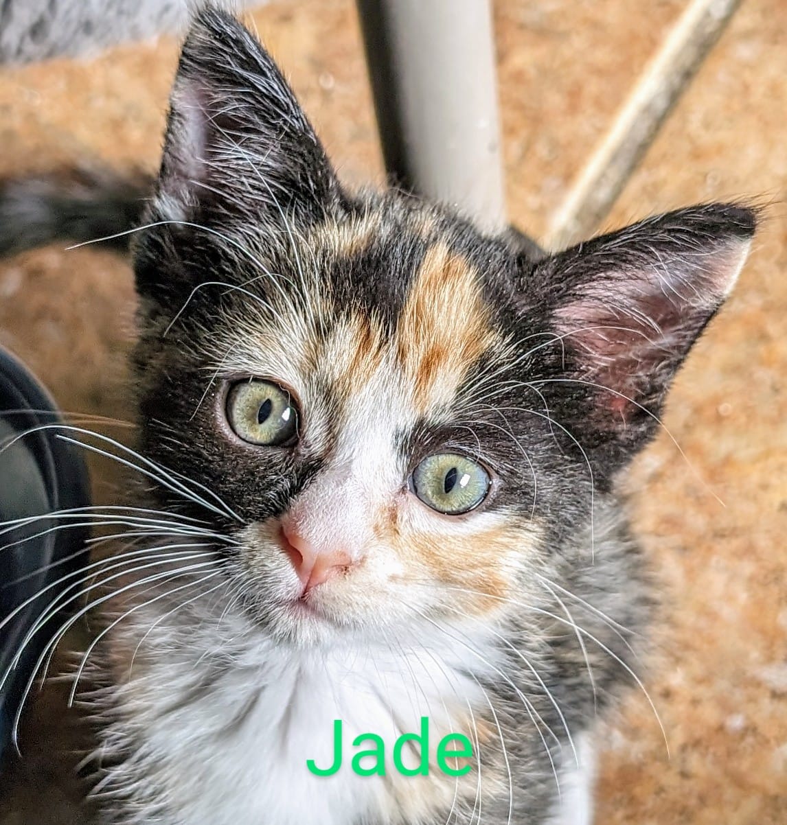 Jade