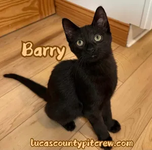 Barry