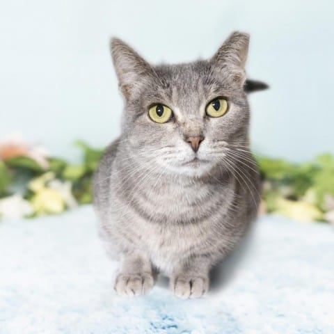 Matilda