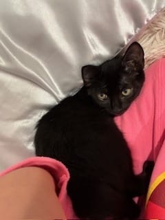 Suki