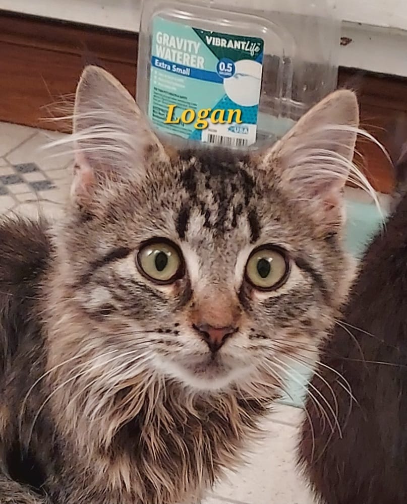 Logan