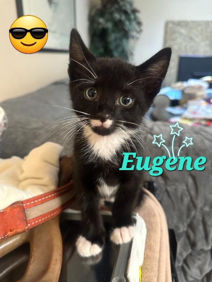 Eugene