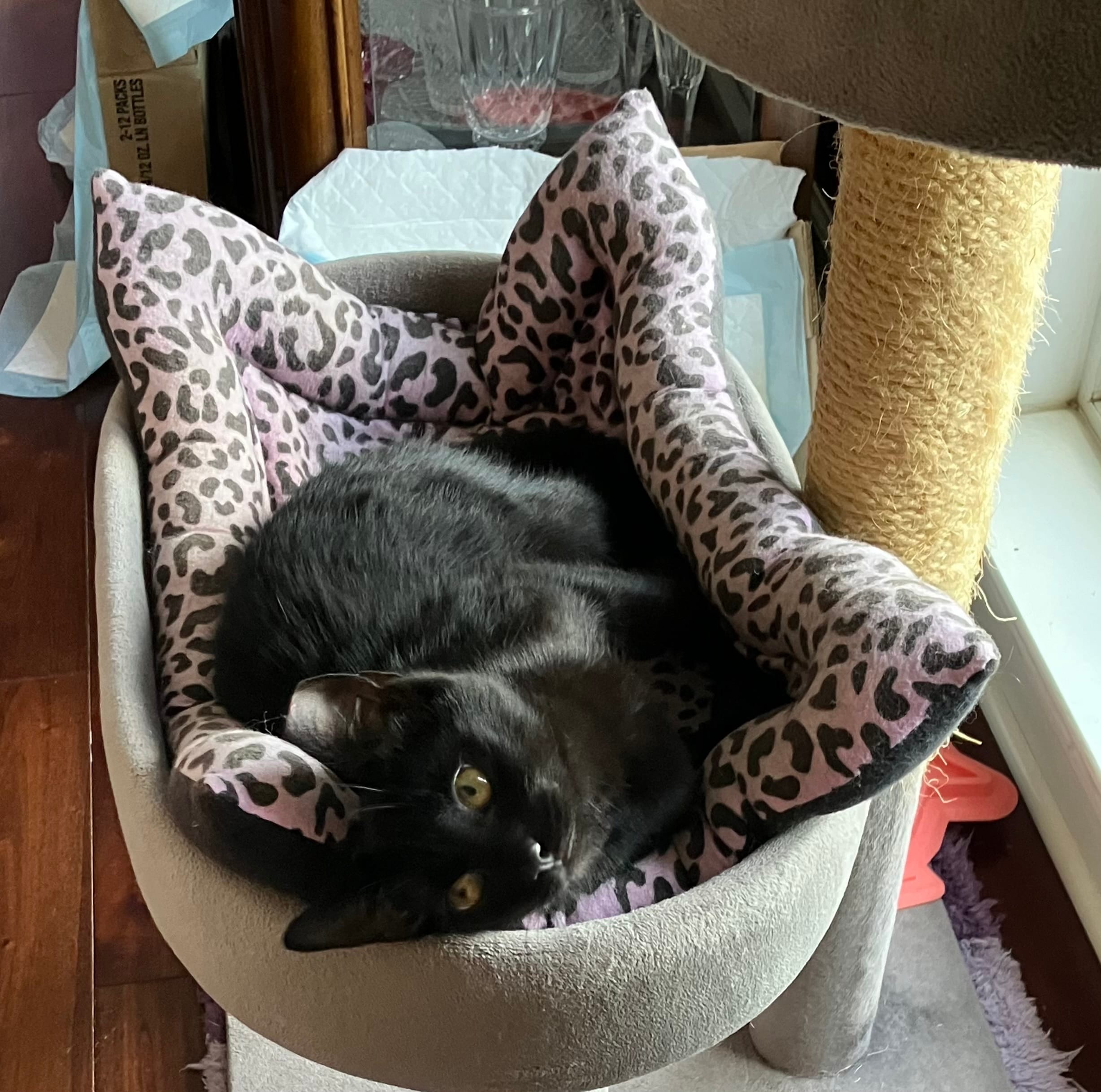 Quincy