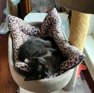 Quincy