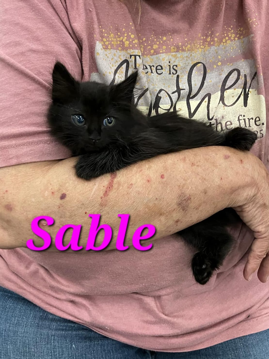 Sable