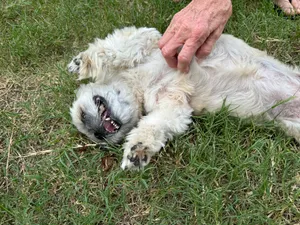 Edna