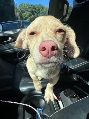 LEROY