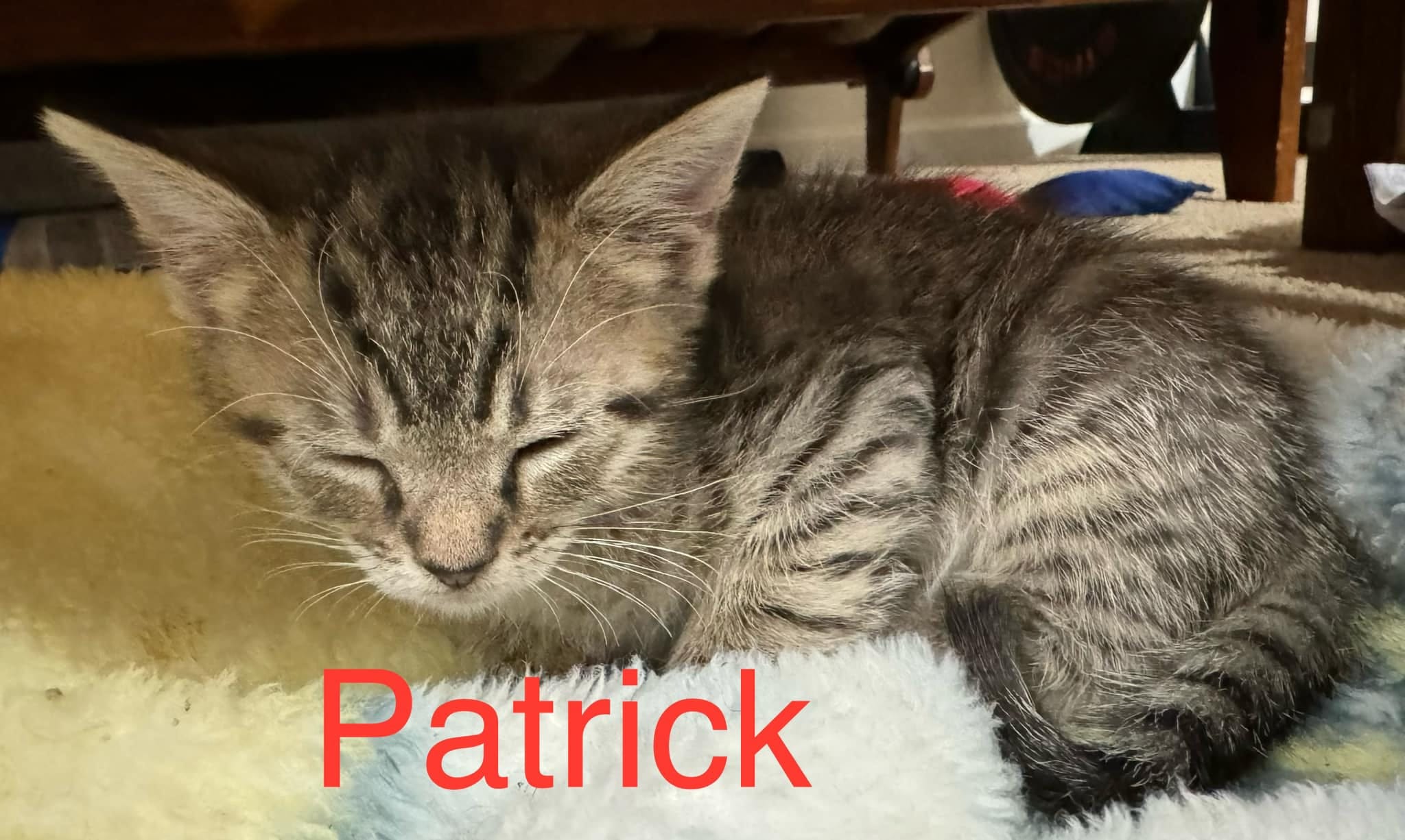 Patrick