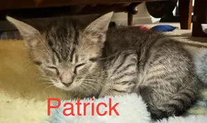 Patrick