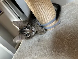 Quinn