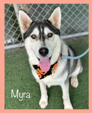 MYRA