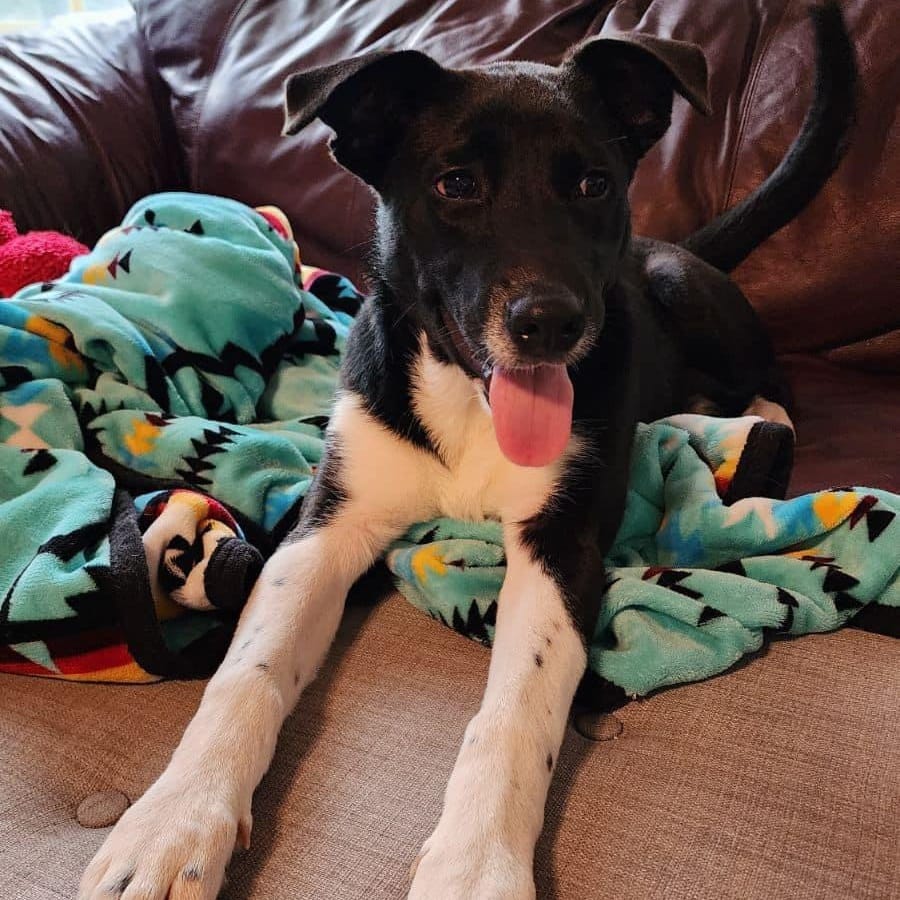 Tux