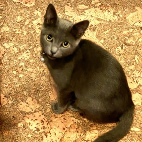 Lilah