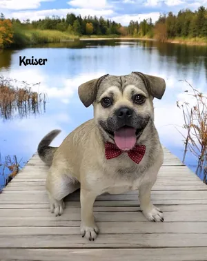 KAISER