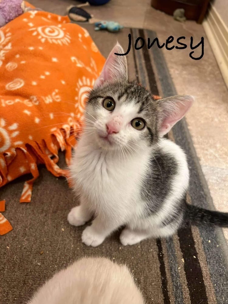 Jonesy