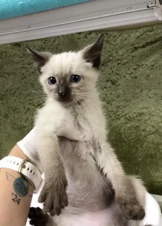 JERRY