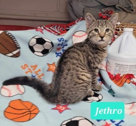 Jethro