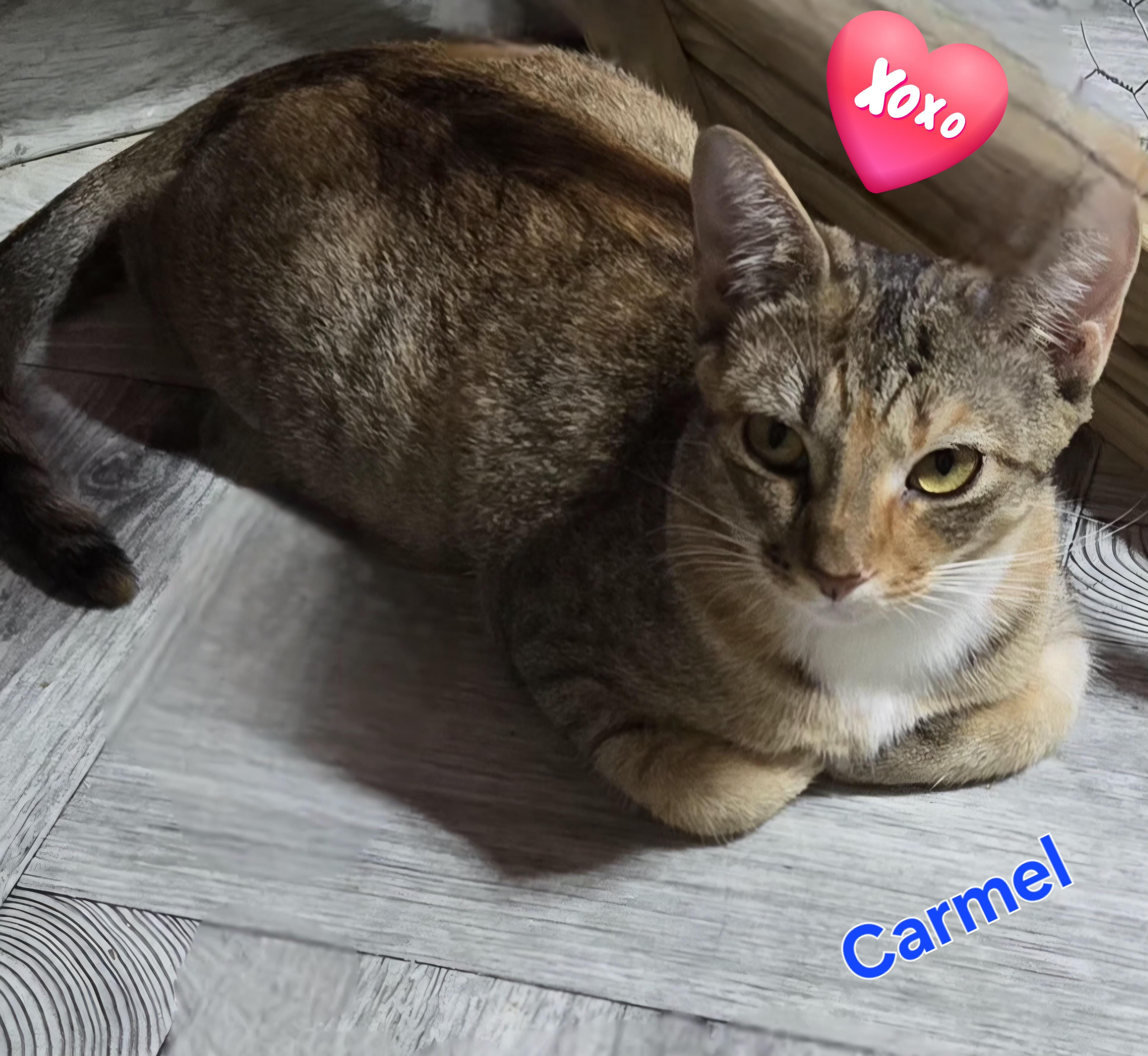 Carmel