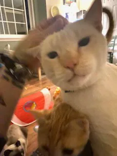 Cirrus