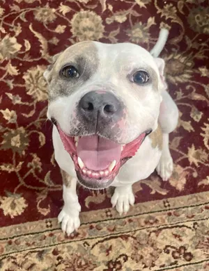 Dulce