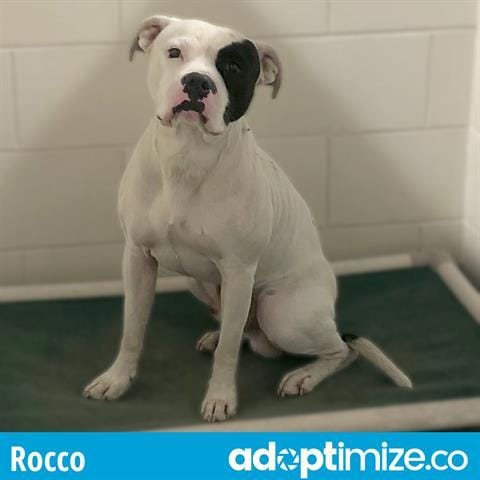 ROC